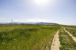 Fondo rustico  N/a. Parcela rústica de secano. otura