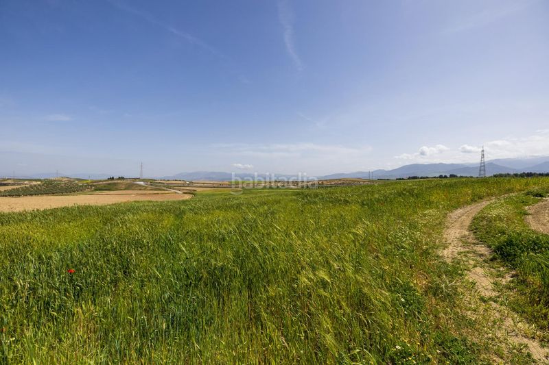 Foto 8352c655-7253-4ddb-b928-3d05ba69cda6. Finca rústica a n/a a Villa de Otura