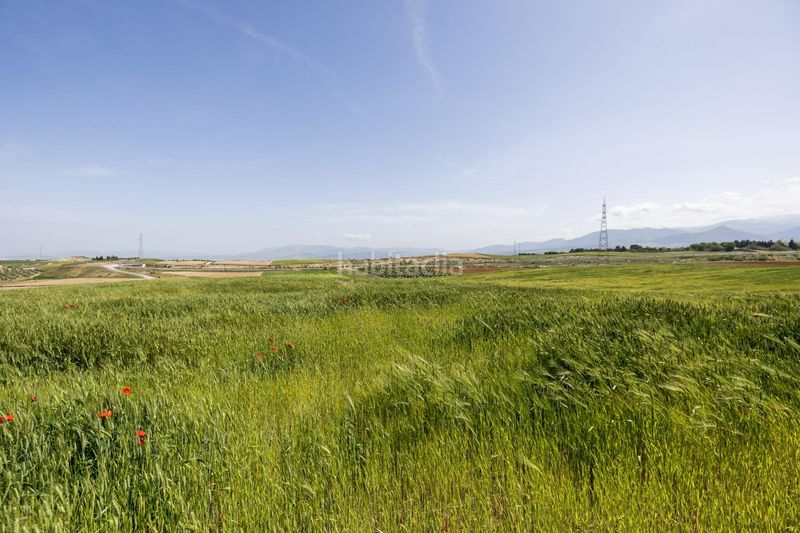 Foto 83a70213-6f6a-4962-bd8d-c56092e6d740. Finca rústica a n/a a Villa de Otura