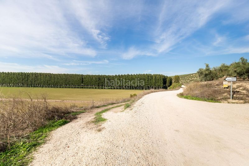 Foto f4cbe01a-d960-4d62-8b6f-45d36220b9d3. Masia a Láchar
