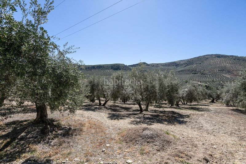 Foto b5e636b6-b6b6-4bb2-aad9-b03d3953f8e7. Masia amb calefacció aparcament piscina a Montefrío
