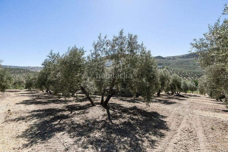 Foto f32e295e-3e25-4c31-957f-9da0859d6dc4. Masia amb calefacció aparcament piscina a Montefrío