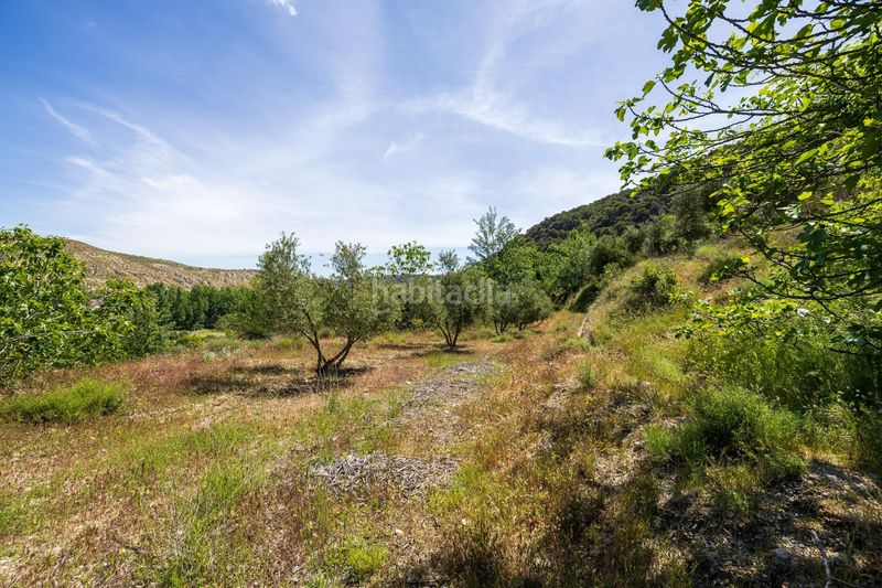 Foto 1e383af8-4521-4e15-94ee-9aad3fa80c77. Masia a Peza (La)