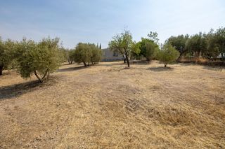 Country house in Moraleda de Zafayona. Encanto rústico con casita y olivos en moraleda de zafayona ??