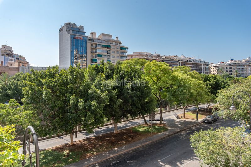 Foto a747b377-6a35-4e3c-8ac5-89cc0dda42a7. Apartament a Santa Catalina Palma de Mallorca