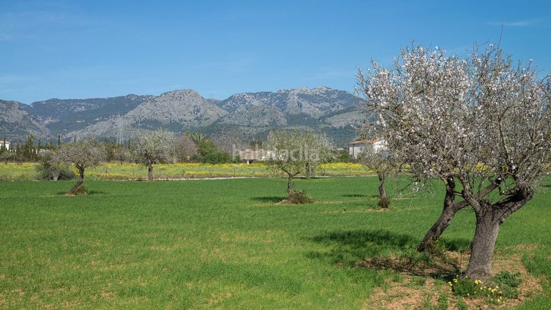 Foto 16d77b81-d42b-4a06-a59c-8ad8a88a945d. Terreny residencial a Selva