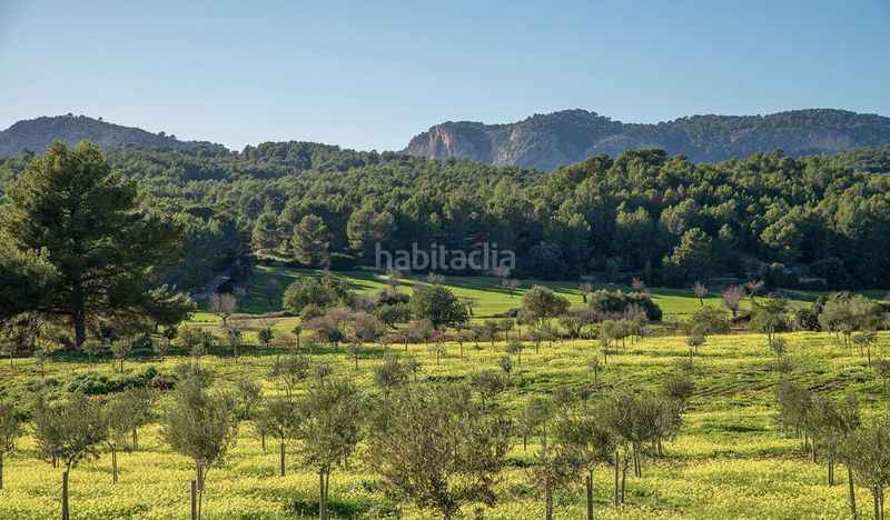 Foto e9c7a301-e50e-4dd6-b53e-ab71a779df25. Terreny residencial a Selva