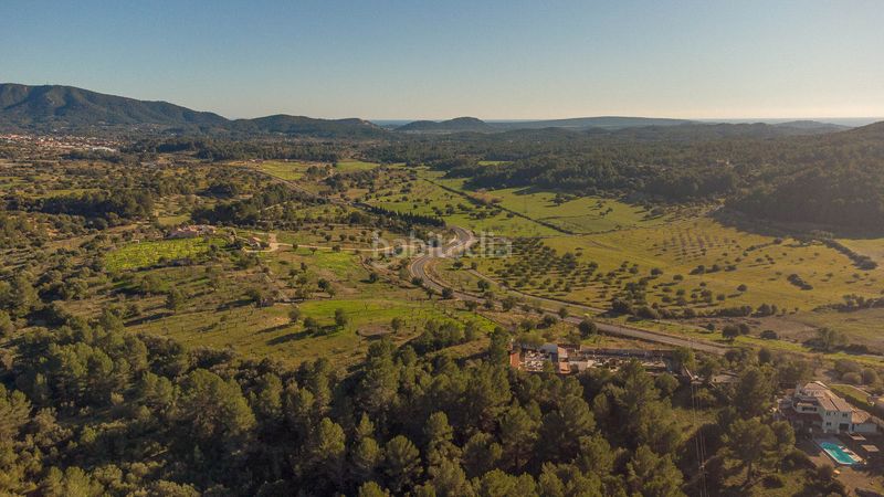Foto ed033ffa-2c4b-4ca8-88ce-45ab3dcd44fb. Terreny residencial a Selva