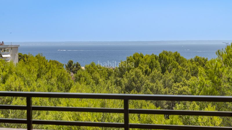 Foto cb0fa750-e8bf-4c99-a189-2f8af7540a0b. Àtic amb calefacció aparcament piscina a Cas Català-Illetes Calvià