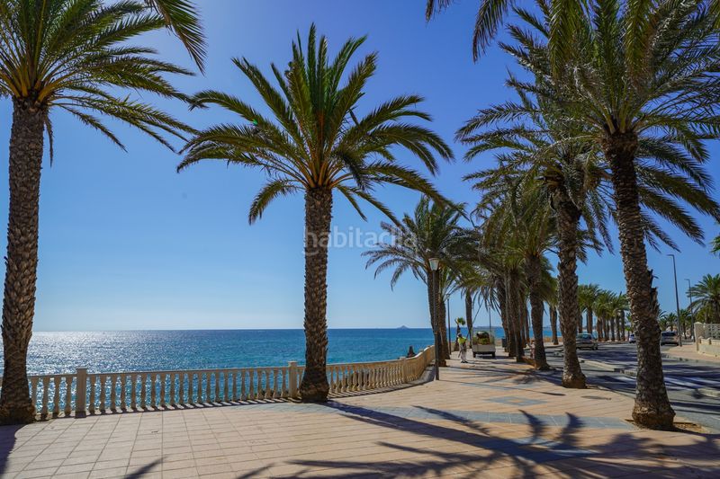 Foto b2e9b05e-7019-4847-8bdb-84eb9a1422f8. House with heating pool in Torre de la Horadada Pilar de la Horadada