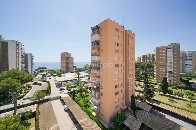 Foto 05183614-bd95-40ed-9d05-e4f130896522. Location studio avec parking dans Campoamor Orihuela