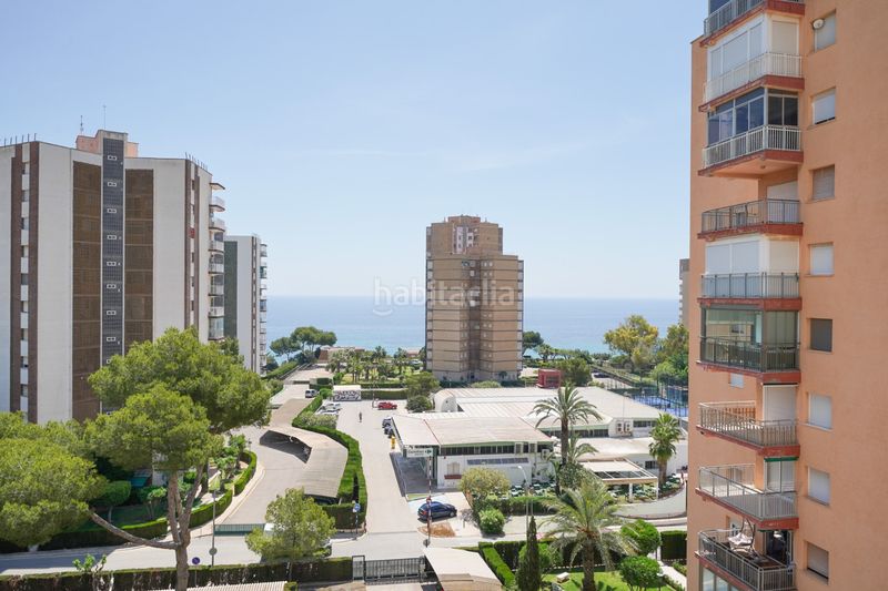 Foto 36f79602-0a31-44cf-9b3d-2f6816db2b7a. Location studio avec parking dans Campoamor Orihuela