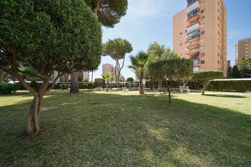 Foto 57c79288-3b5a-4aef-a666-23c499f4e1ca. Location studio avec parking dans Campoamor Orihuela