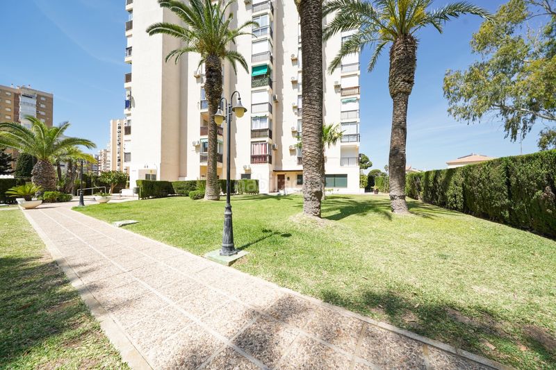 Foto 8c7e9019-53c5-4af1-8edf-7d023ecf01d4. Location studio avec parking dans Campoamor Orihuela
