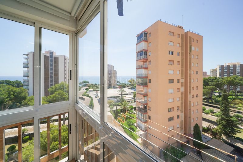 Foto ccd57790-49f6-4564-8f36-cc02b07bf909. Location studio avec parking dans Campoamor Orihuela