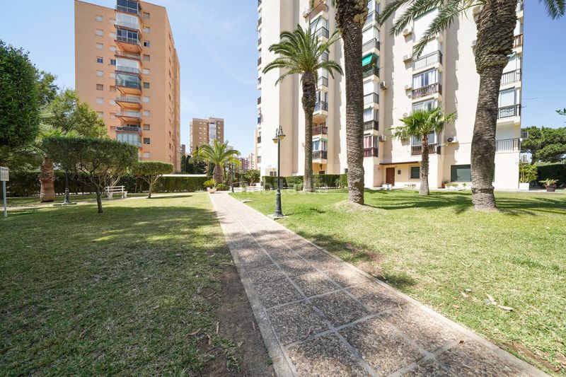 Foto e8d01098-cdae-472e-9090-aa3aa3b0e191. Location studio avec parking dans Campoamor Orihuela