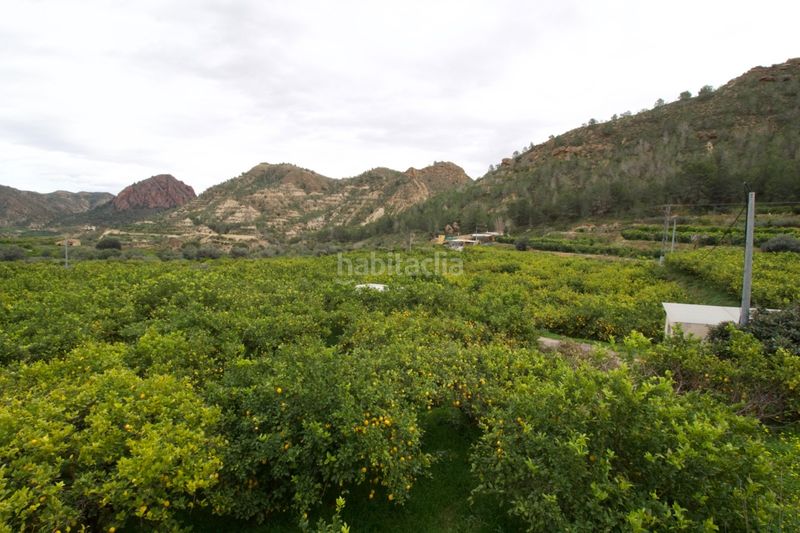 Foto 283ab8ba-c7f0-4ec8-a5fc-92209bd84db0. Terreny residencial a Algezares Murcia