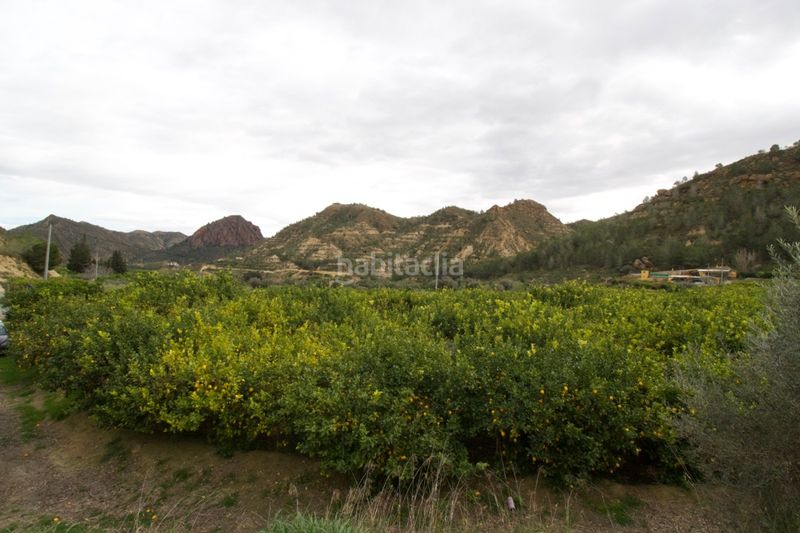 Foto 33cb46b9-d539-4741-a3c1-7c5859e61e92. Terreny residencial a Algezares Murcia