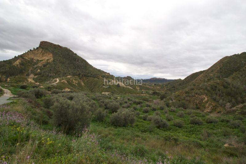 Foto 54094b8f-150e-403d-a0e1-fe9f13927e66. Terreny residencial a Algezares Murcia