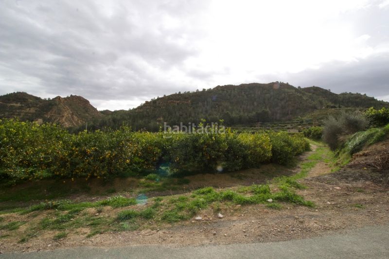 Foto 6f29e58a-970a-4450-a604-c2fef4bff4e8. Terreny residencial a Algezares Murcia
