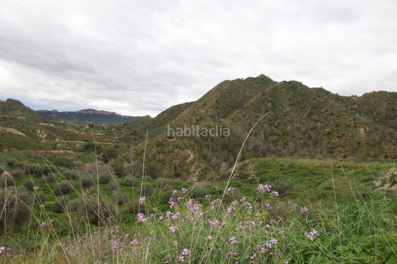 Foto 95bbe79b-1d16-425b-b02e-e408972940f4. Terreny residencial a Algezares Murcia