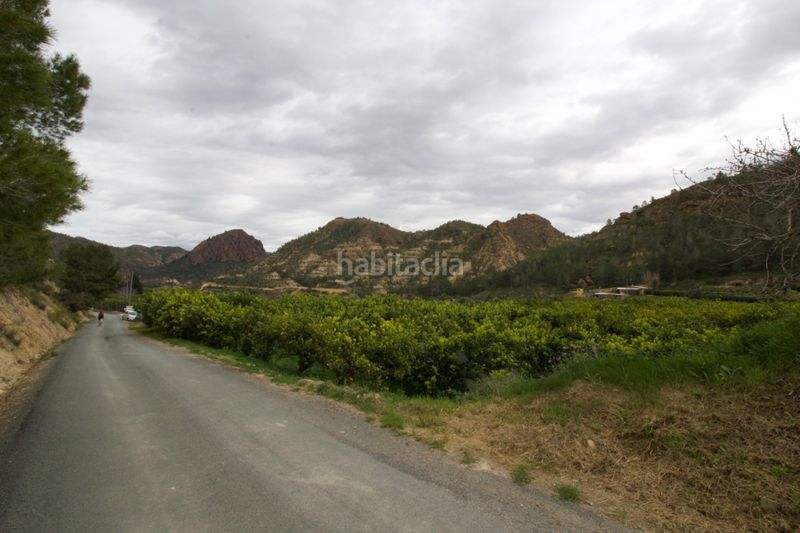 Foto a3c90266-16de-46a4-a57f-b7b35967389a. Terreny residencial a Algezares Murcia