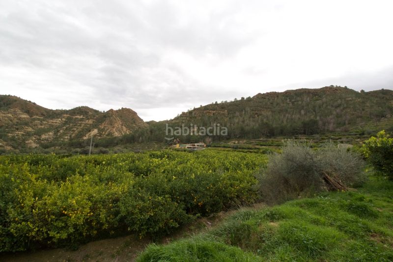 Foto cf59977f-c8f1-4bd6-b16c-9ccebbe082ff. Terreny residencial a Algezares Murcia