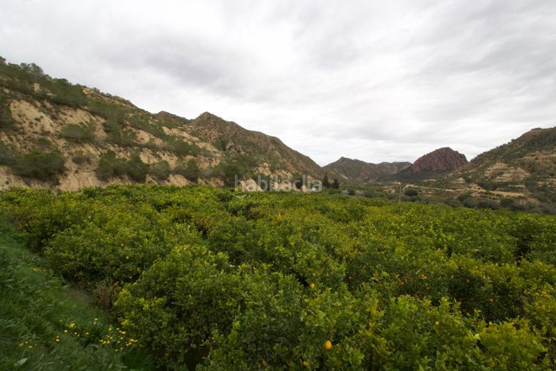Foto fe490534-10d0-4ded-832e-d8fe9d29ae09. Terreny residencial a Algezares Murcia