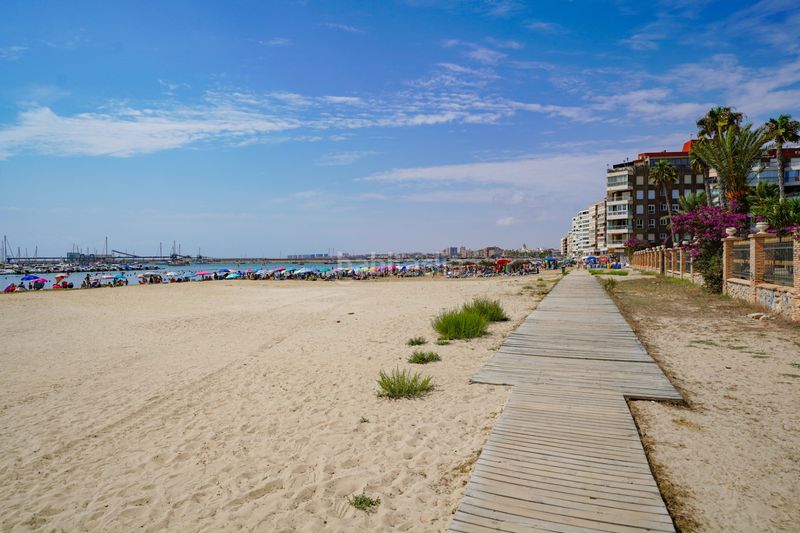 Foto 268edbd2-e8c9-4b35-8f84-43ede5456766. Apartament amb piscina a Puerto Deportivo Torrevieja