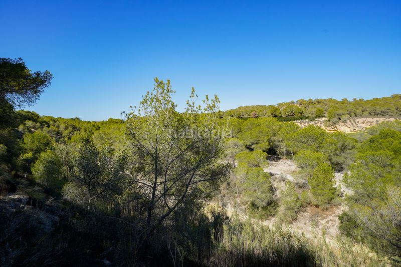 Foto 5a2be78f-dbfd-49ef-86c3-1255997d13fb. Flat with pool in El Pinar de Campoverde Pilar de la Horadada
