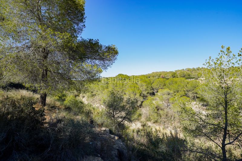 Foto d37d371f-d2dc-43a3-a508-f42c13942ab4. Flat with pool in El Pinar de Campoverde Pilar de la Horadada