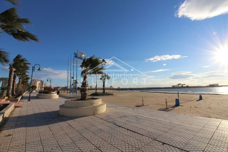 Foto 4c3c5c2d-2200-47ad-92fb-873823c40004. Flat in Avenida Habaneras - Curva de Palangre Torrevieja