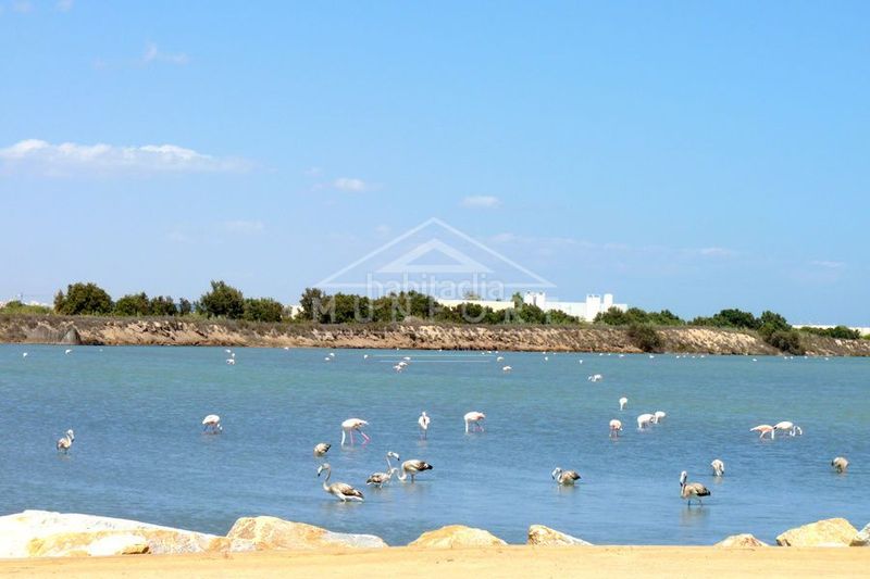 Foto 4af0645e-c167-491d-89da-114783e1efb2. Pis amb calefacció piscina a San Pedro del Pinatar San Pedro del Pinatar