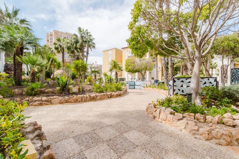 Foto 2d333bf4-ca8d-4222-9d21-525ea8dcc614. Apartament amb piscina a Zona Playa de los Locos Torrevieja