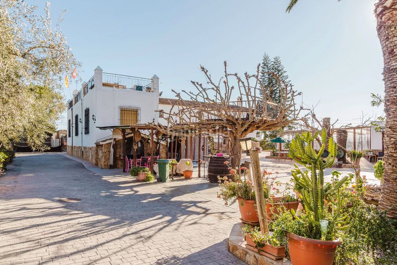 Foto 510e15a9-6996-4552-9791-3fa8b69449e4. Casa a Orihuela ciudad Orihuela