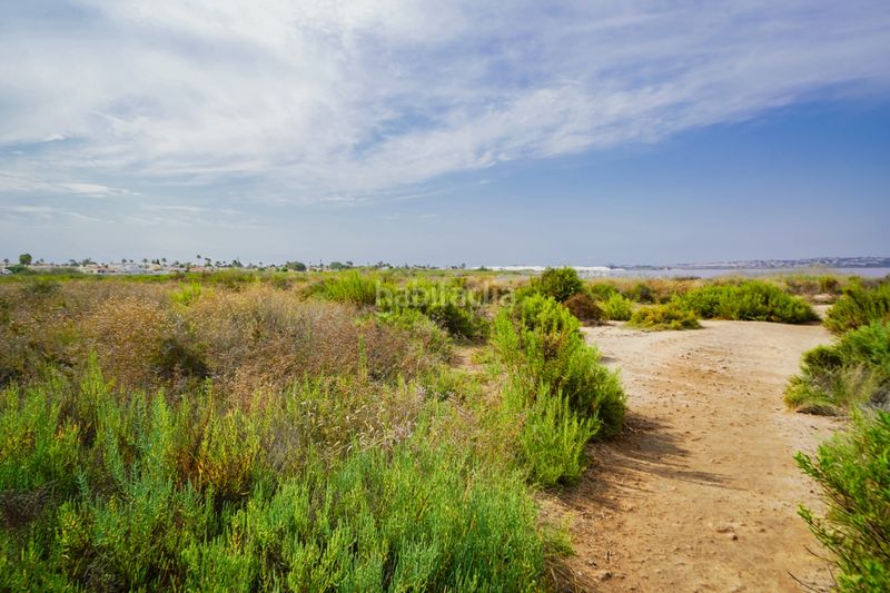 Foto f1ce8671-6a16-4593-a1fd-c777da57f83c. Casa amb aparcament piscina a Zona Carrefour - Urbanizaciones Torrevieja