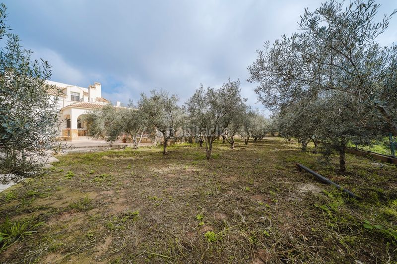 Foto 7b626b29-b81d-4415-b087-342b11f163c5. Casa amb aparcament piscina a Gea y Truyols Murcia