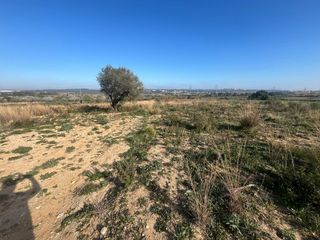 Landgut in Constantí. Finca rustica