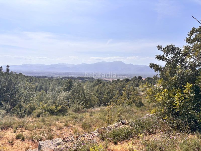 Foto 8add0a5c-d1ff-4272-a6a5-08fbd8421099. Masia amb aparcament piscina a Urbanitzacions Tortosa