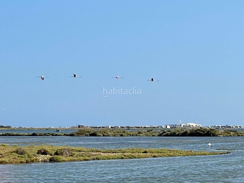 Foto 6c3adc6a-88d2-4bc4-8083-76893f62b8e2. Xalet amb calefacció piscina a Eucaliptus - Poble Nou del Delta Amposta