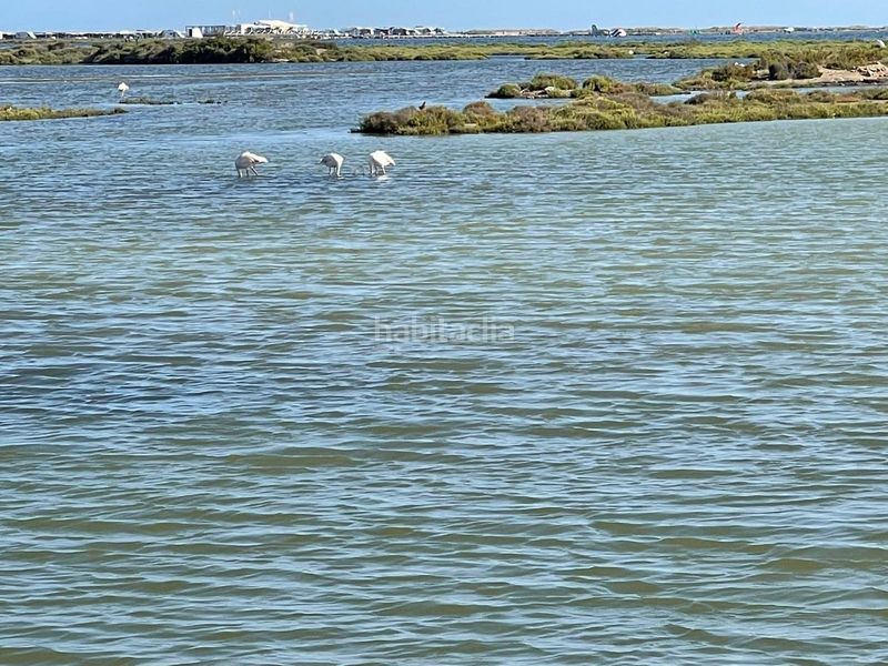 Foto d701f438-6ba8-4192-90b2-05511ccd3791. Xalet amb calefacció piscina a Eucaliptus - Poble Nou del Delta Amposta