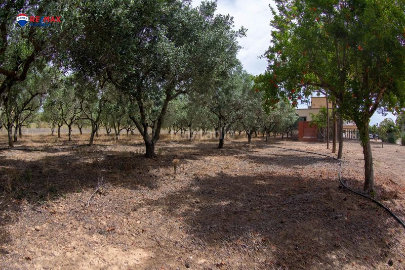 Foto 3f7689a8-6e8e-479a-98b5-d5fc7da4536b. Xalet amb aparcament a Valls