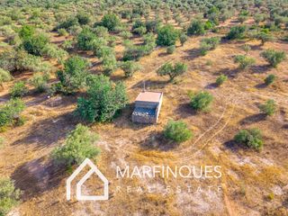 Rural plot in San Rafael del Río. Parcela rustica/urbana 40.495m2 san rafael del rio