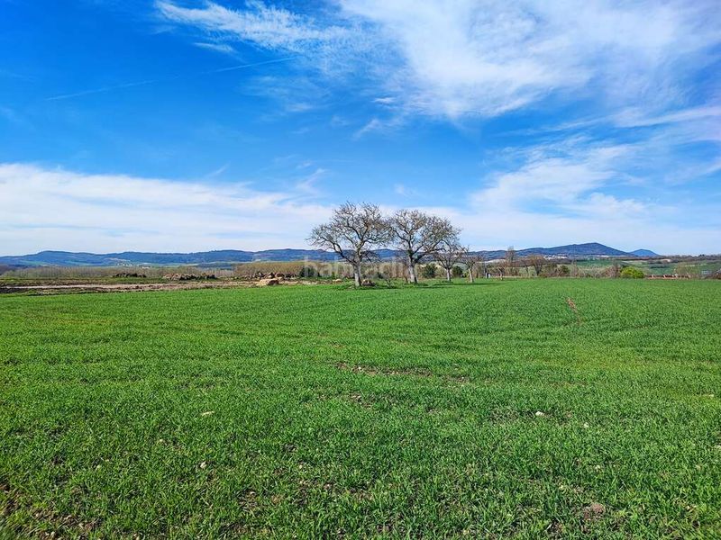 Foto 2f7b6656-fc36-46f4-ba3c-78760eef3521. Finca rústica a Puebla de Arganzón (La)