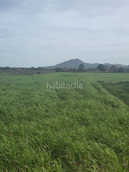 Foto a1121919-13b2-407f-8603-5e28e9a87c92. Terreno residenziale in Felanitx poble Felanitx