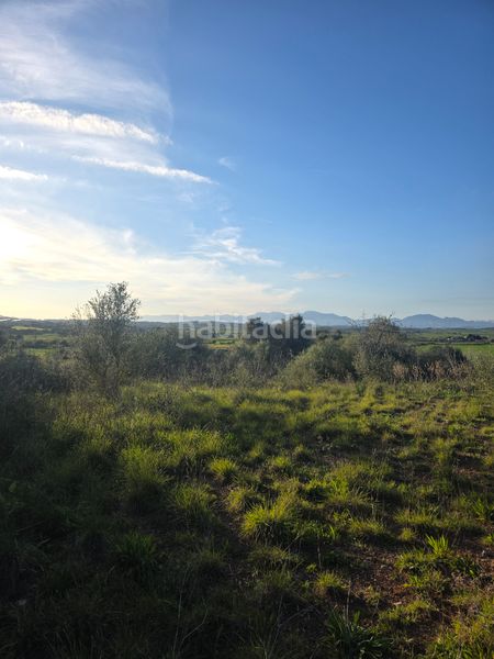 Foto 4e8b7950-a5b9-4256-ae8b-5911bf7dc3f9. Finca rústica a Petra