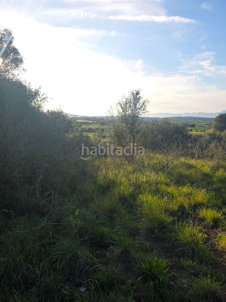 Foto e31d00db-a866-4d46-8b60-1de2181321c8. Finca rústica a Petra