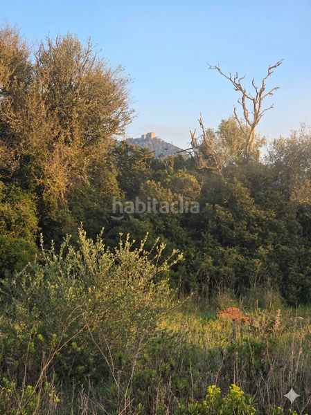 Foto 84e2f22a-cf35-4c17-b373-760ce95bb43f. Finca rústica a Felanitx poble Felanitx