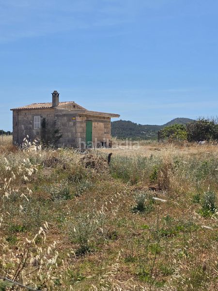 Foto 08c209e2-0eef-4278-80de-e46fb1f7ed3d. Finca rústica a Manacor centre Manacor