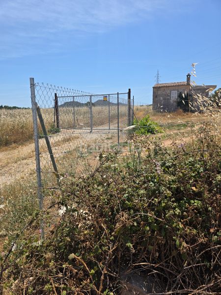 Foto a6aa1d99-85ca-4695-94e3-d87ad2645555. Finca rústica a Manacor centre Manacor